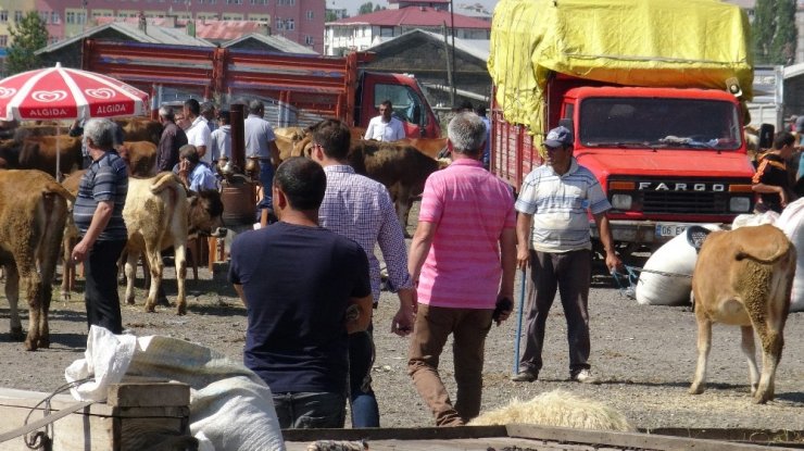 ‘Kurban Pazarı’nda Yoğunluk