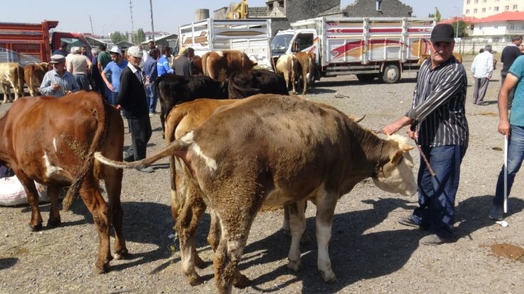 ‘Kurban Pazarı’nda Yoğunluk