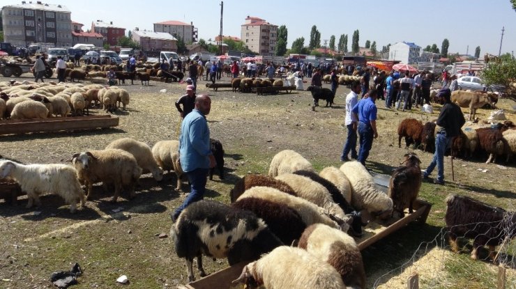 ‘Kurban Pazarı’nda Yoğunluk