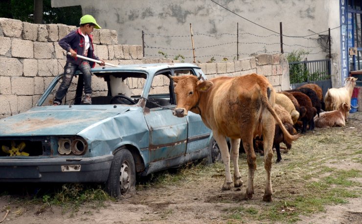 'Kurban Pazarı'nda Sıkı Pazarlıklar