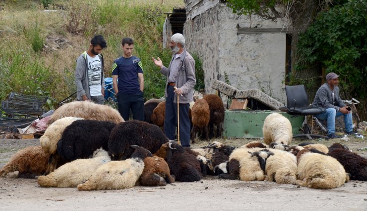 'Kurban Pazarı'nda Sıkı Pazarlıklar