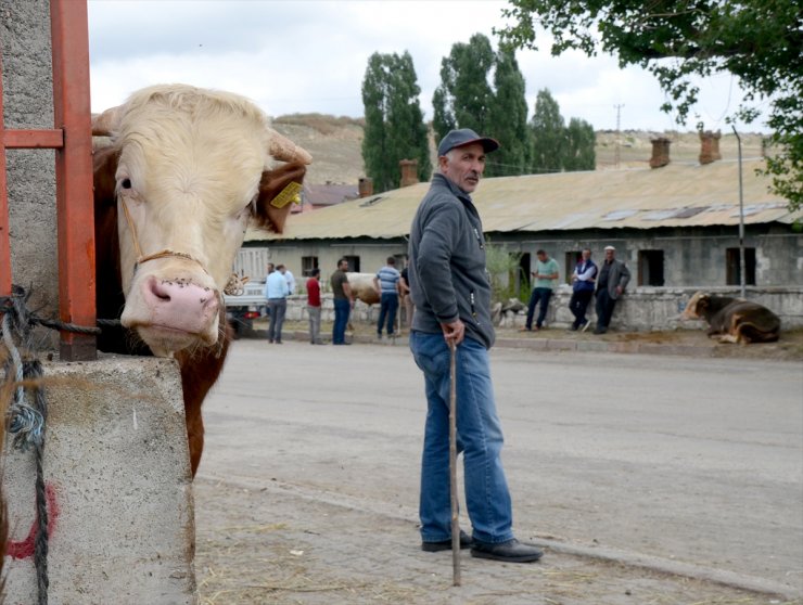 'Kurban Pazarı'nda Sıkı Pazarlıklar