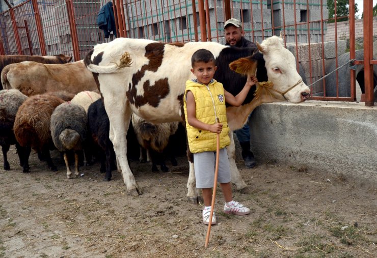 'Kurban Pazarı'nda Sıkı Pazarlıklar