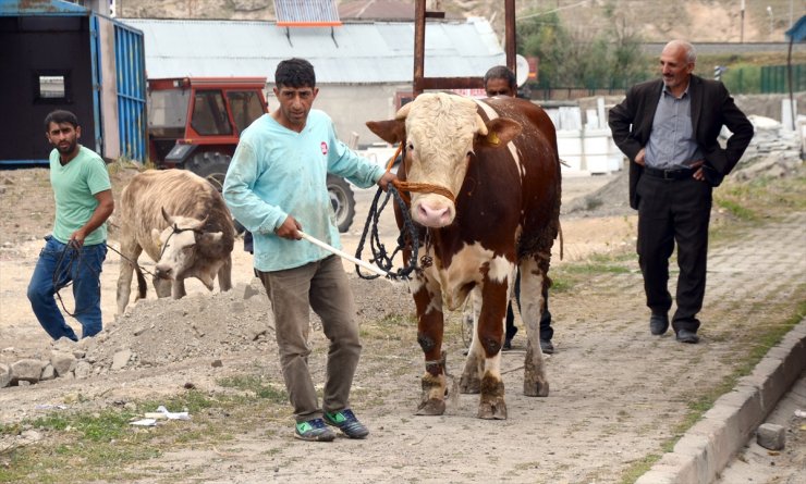 'Kurban Pazarı'nda Sıkı Pazarlıklar