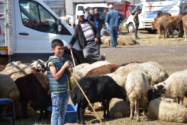 'Kurban Pazarı'nda Sıkı Pazarlıklar