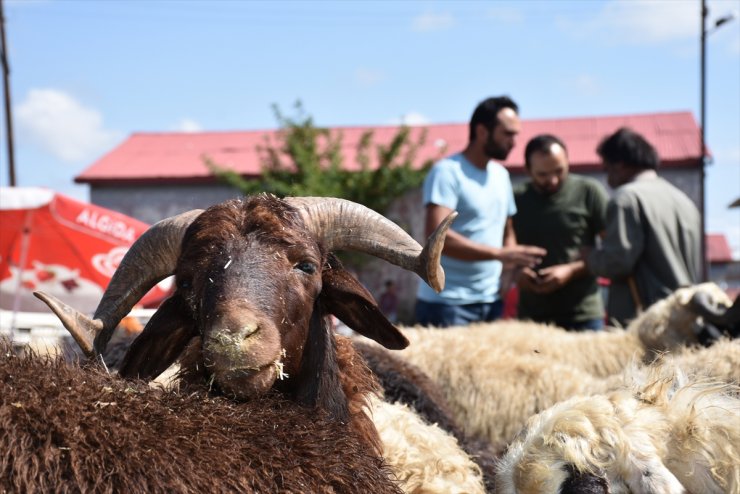 'Kurban Pazarı'nda Sıkı Pazarlıklar