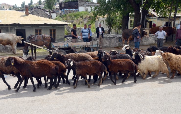 'Kurban Pazarı'nda Sıkı Pazarlıklar