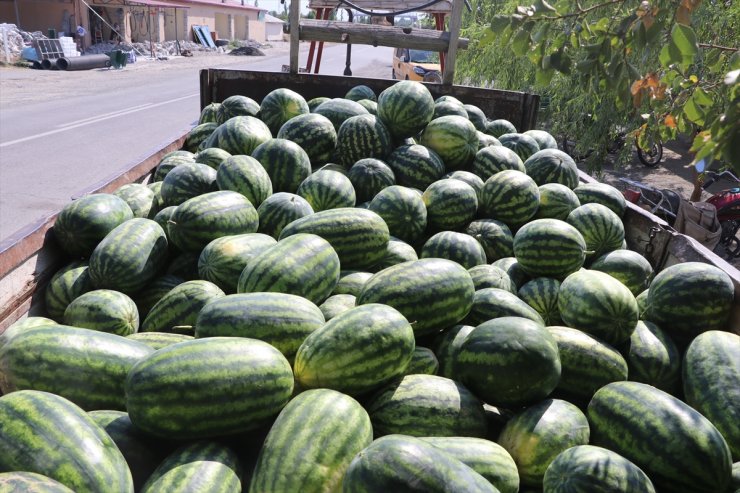 Bölgenin Karpuzu Iğdır'dan