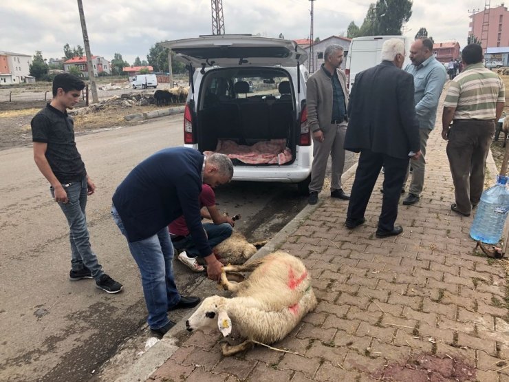 Kars’ta Kurbanlık Satışları Düşük