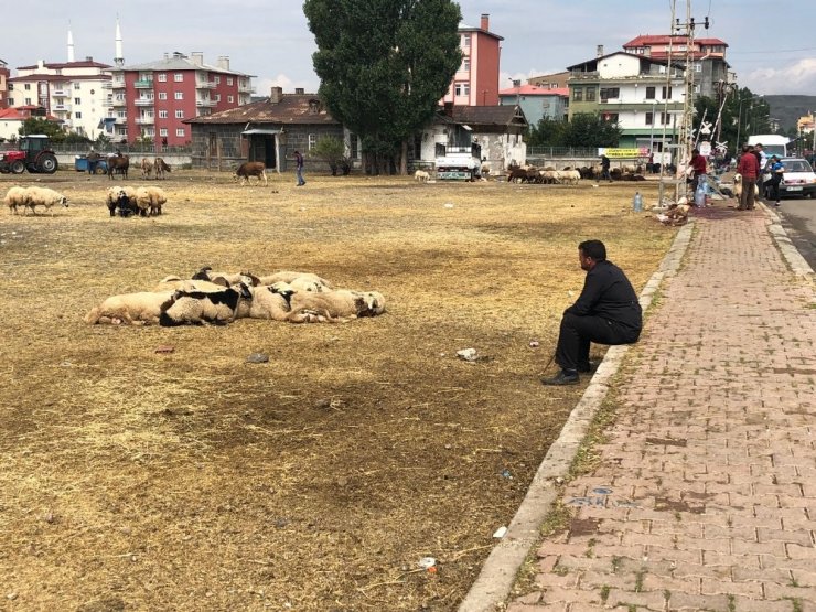 Kars’ta Kurbanlık Satışları Düşük