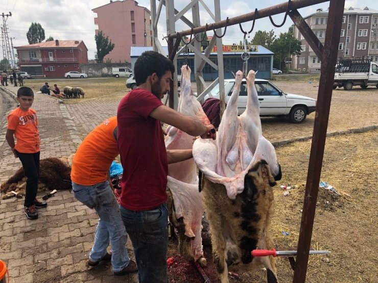 Kars’ta Kurbanlık Satışları Düşük