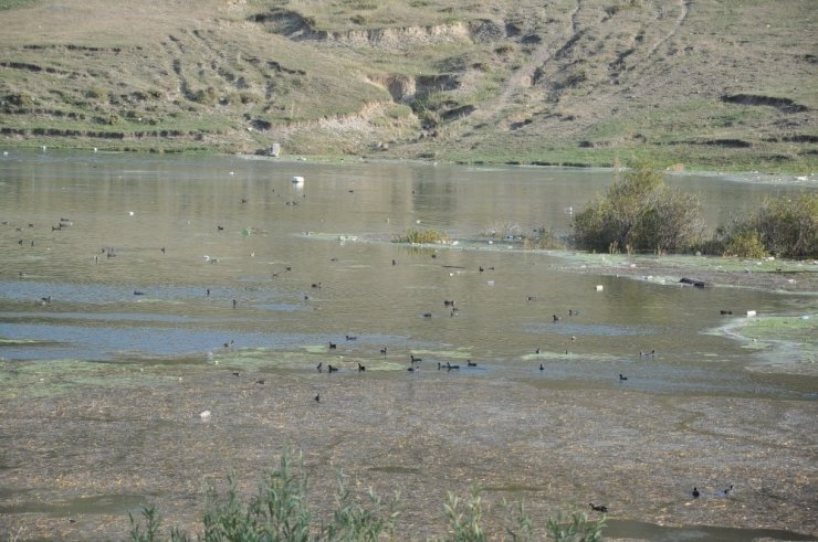 Kars Baraj Gölü'nde Su Seviyesi Yükseliyor