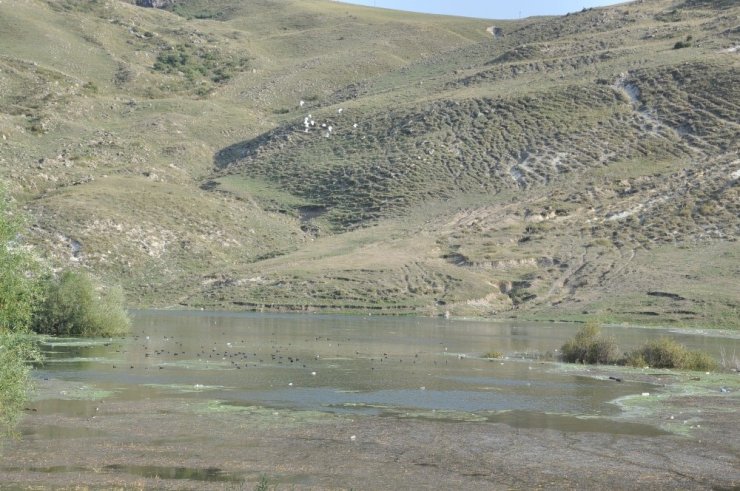 Kars Baraj Gölü'nde Su Seviyesi Yükseliyor