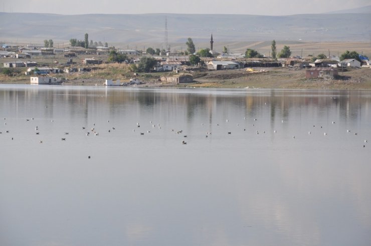 Kars Baraj Gölü'nde Su Seviyesi Yükseliyor