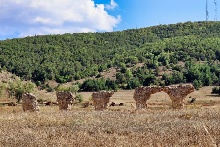 Gümüşhane'de 'Satala Antik Kenti'