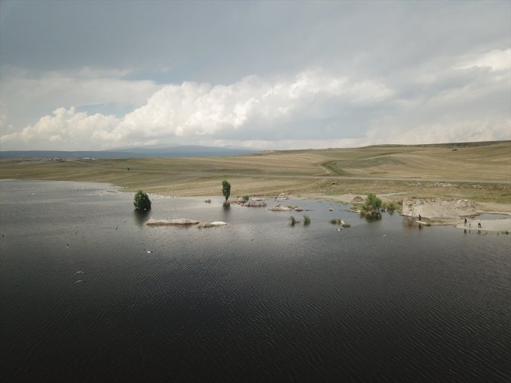 Kars Barajı Tarıma "Can Suyu" Olacak