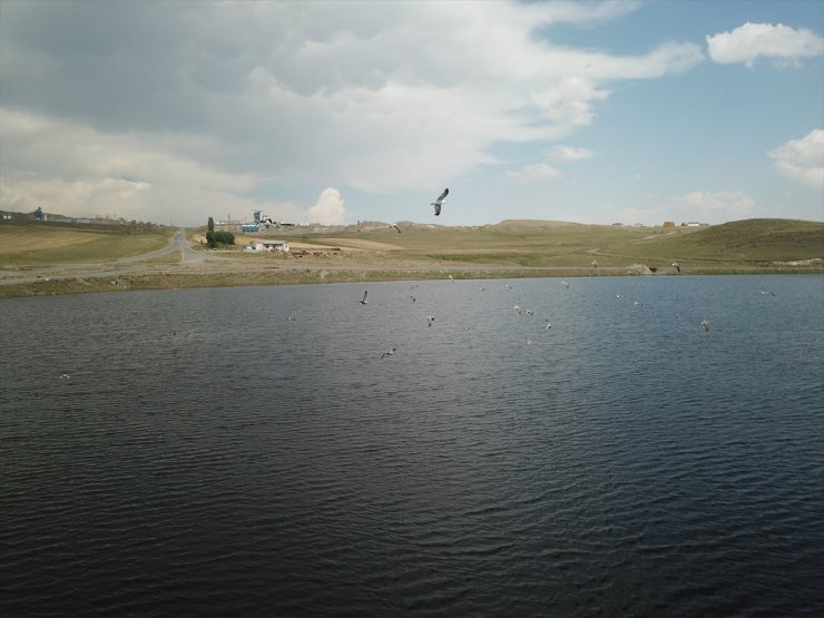 Kars Barajı Tarıma "Can Suyu" Olacak