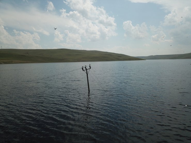 Kars Barajı Tarıma "Can Suyu" Olacak