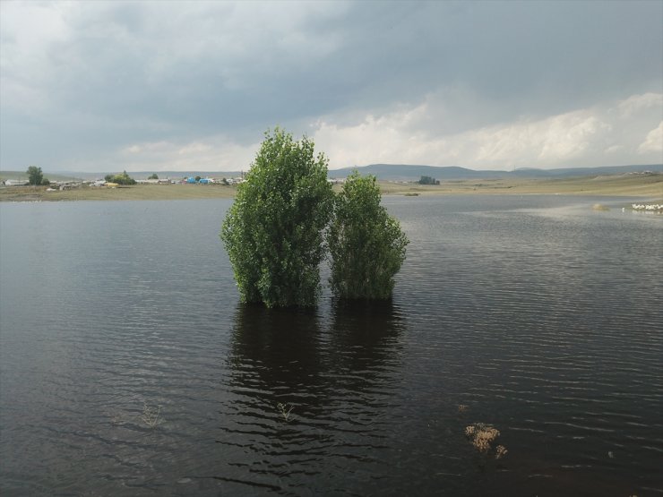 Kars Barajı Tarıma "Can Suyu" Olacak