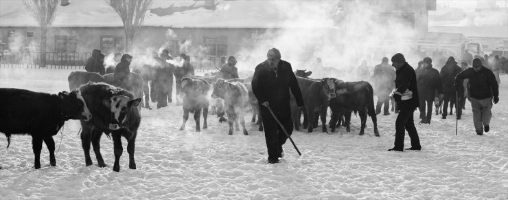 Fotoğraflarla Kars'ın ‘Mal Meydanı’