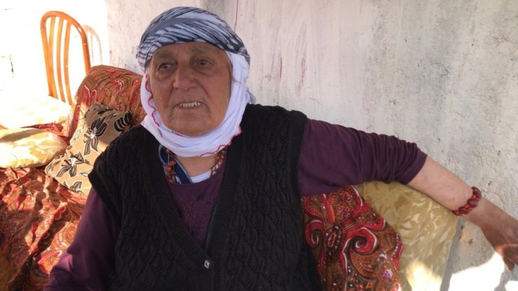Umut Ali Özmen, Evine Döndü