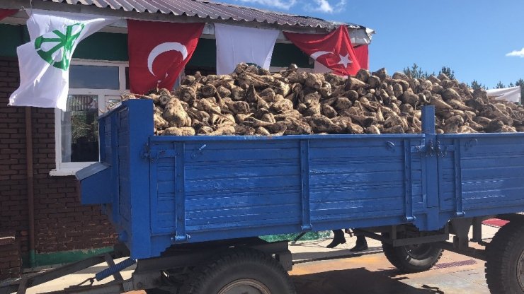 Pancar Alım Kampanyası Başladı