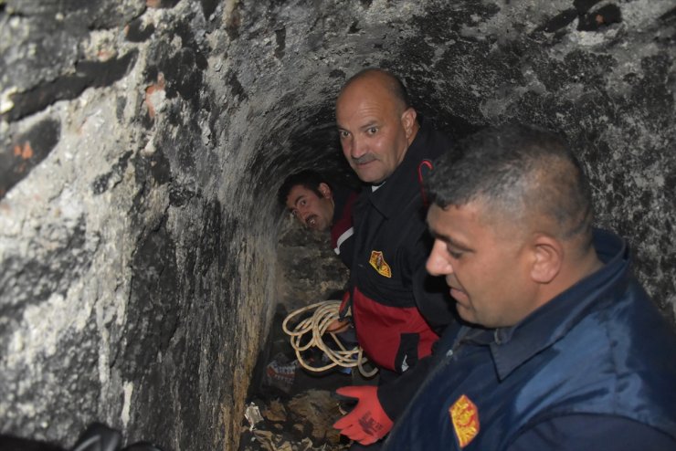 Kars'ta At Kurtarma Operasyonu