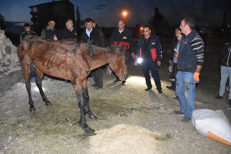 Kars'ta At Kurtarma Operasyonu
