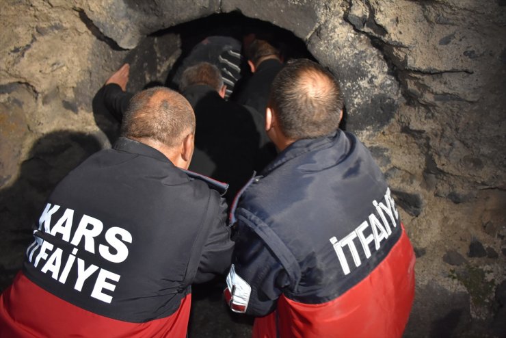Kars'ta At Kurtarma Operasyonu