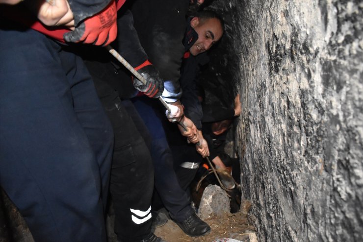 Kars'ta At Kurtarma Operasyonu