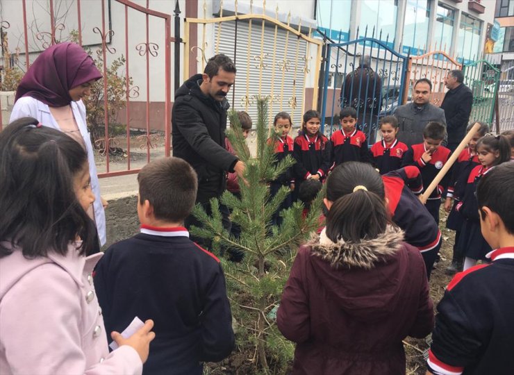 'Fidanlar Fidanlarla Büyüyor' Projesi