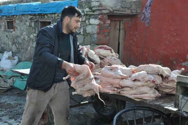 Kars’ta ‘Kaz Kesimi’ Başladı