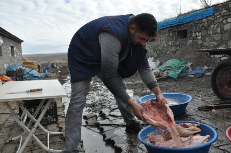 Kars’ta ‘Kaz Kesimi’ Başladı