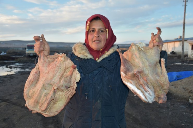 ‘Kaz Çiftlikleri’nde Yüzler Gülüyor