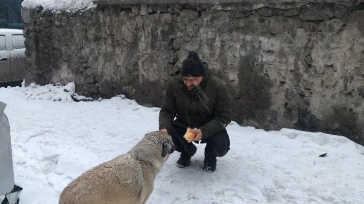 Sarıkamış’ta 24 Köy Yolu Ulaşıma Kapandı