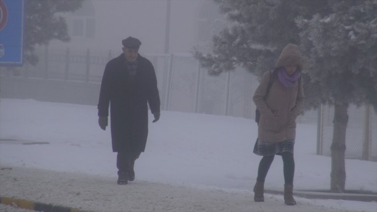 Kars ve Ağrı'da Yoğun Sis