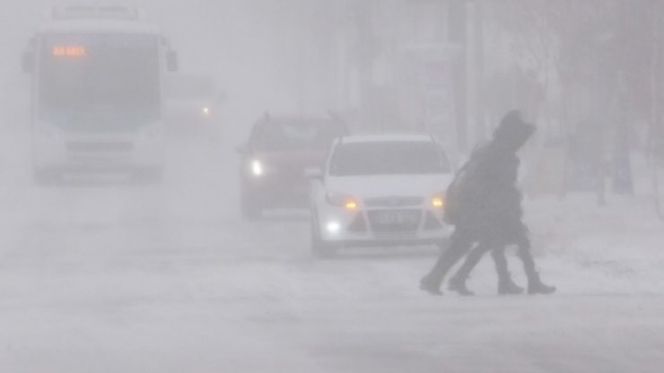 Kars’ta Tipi Hayatı Olumsuz Etkiliyor