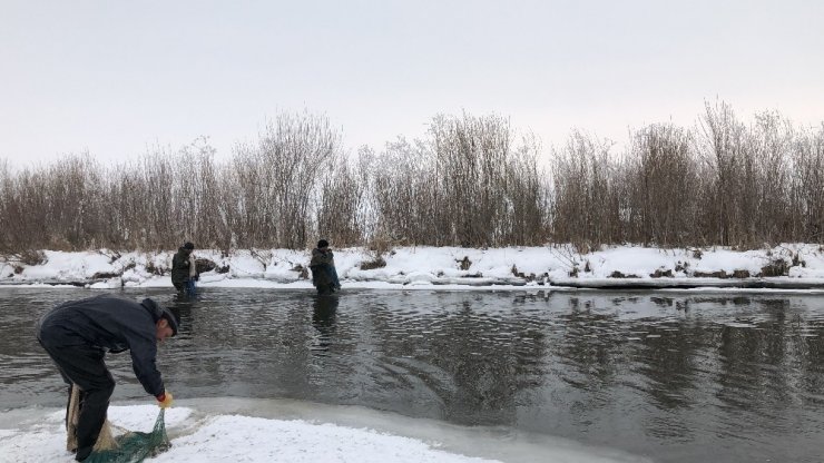 ‘Soğuk Hava’da Balık Avlama