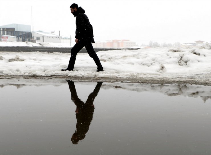 Ardahan'da Kış Ortasında Bahar