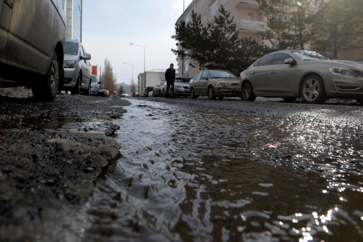 Ardahan'da Kış Ortasında Bahar