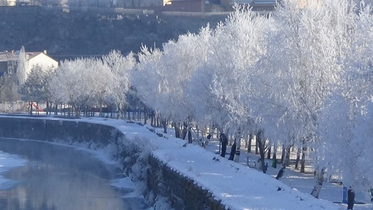 Kars’ta Dondurucu Soğuklar