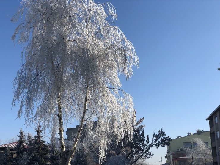 Doğu Anadolu Buz Tuttu: Kars Eksi 20