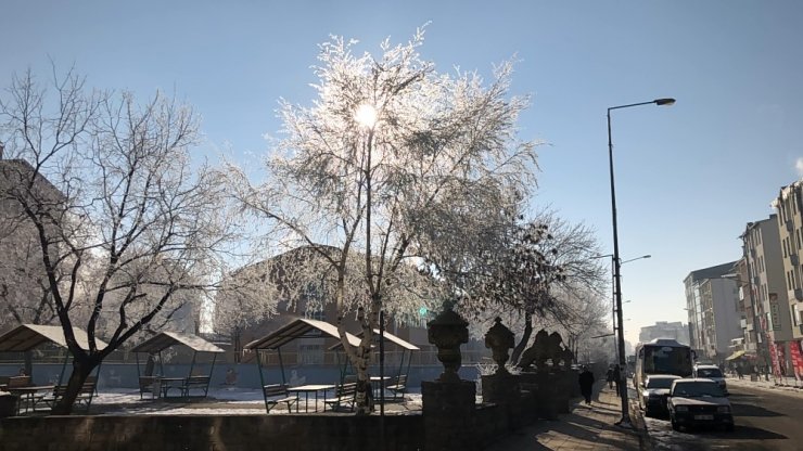 Doğu Anadolu Buz Tuttu: Kars Eksi 20
