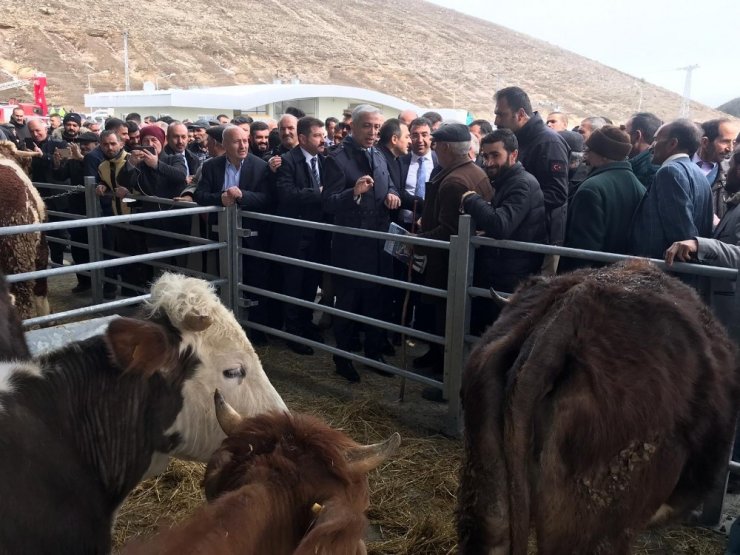 Sarıkamış'a 'Hayvan Pazarı' Yapıldı