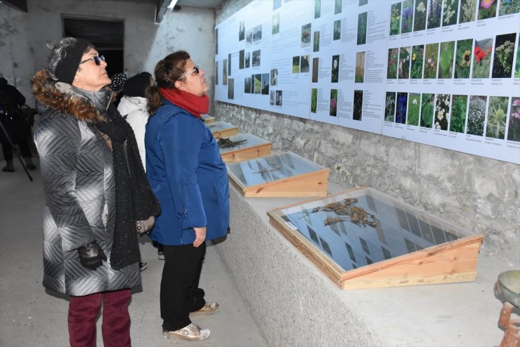 'Peynir Müzesi'ne Turistlerden İlgi