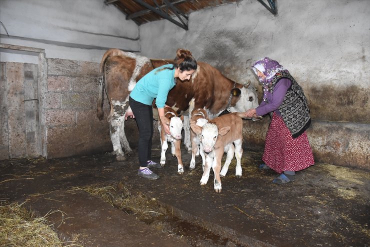 'Marya' Üçüz Doğurunca Yüzler Güldü