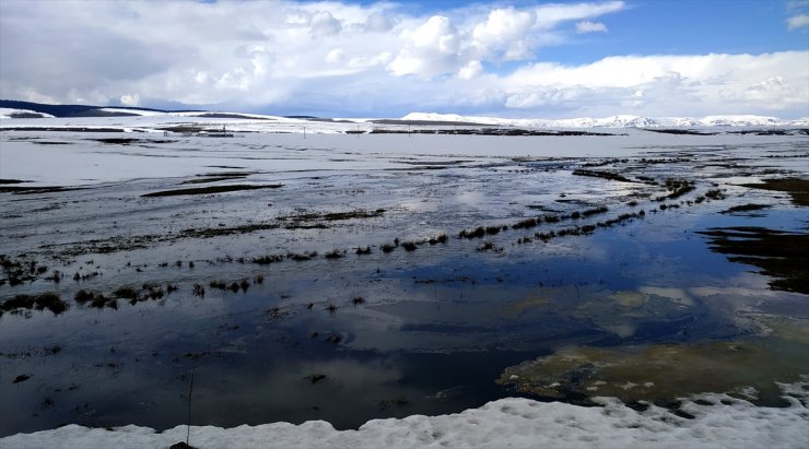 Sarıkamış’ta Doğal Hayat