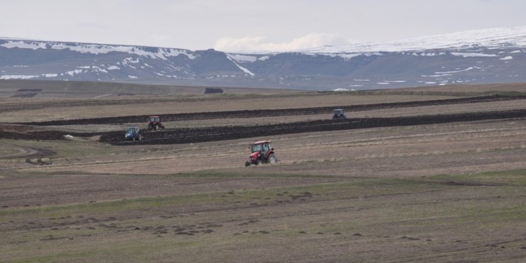 Kars’ta 'Tarla Sürümü' Başladı