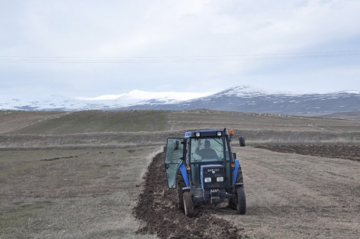 Kars’ta 'Tarla Sürümü' Başladı