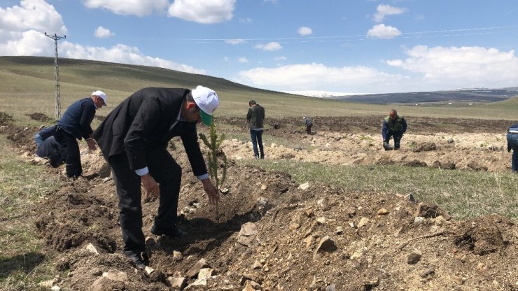 Kars’ta 2 Bin Fidan Toprakla Buluştu